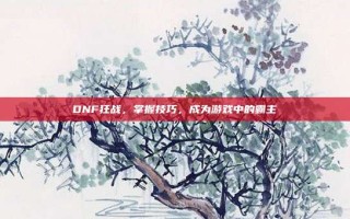 DNF狂战，掌握技巧，成为游戏中的霸主
