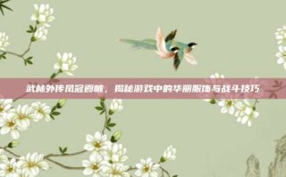 武林外传凤冠霞帔，揭秘游戏中的华丽服饰与战斗技巧