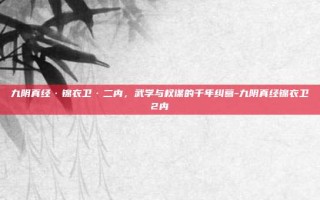九阴真经·锦衣卫·二内，武学与权谋的千年纠葛-九阴真经锦衣卫2内