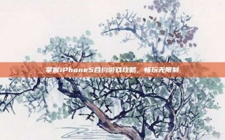 掌握iPhone5合约游戏攻略，畅玩无限制