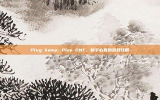 Plug & Play DNF，新手必看的游戏攻略