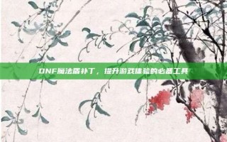 DNF魔法盾补丁，提升游戏体验的必备工具