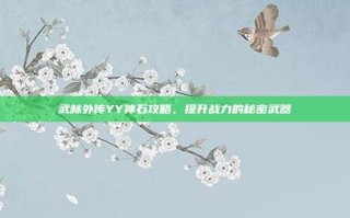 武林外传YY神石攻略，提升战力的秘密武器