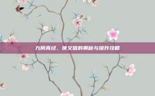 九阴真经，侠义值的奥秘与提升攻略