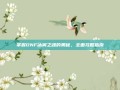掌握DNF冰翼之魂的奥秘，全面攻略指南