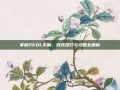 掌握2KOL手柄，游戏技巧与攻略全解析