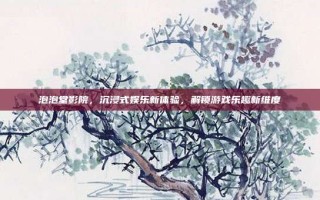 泡泡堂影院，沉浸式娱乐新体验，解锁游戏乐趣新维度
