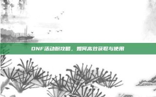 DNF活动粉攻略，如何高效获取与使用