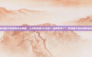 逆战箱子生成时间全解析，5小时还是72小时？别再傻等了！逆战箱子多长时间生成