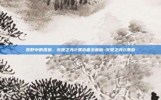 荒野中的孤狼，火炬之光2漂泊者全解析-火炬之光2漂泊