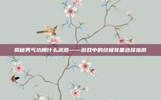 揭秘男气功用什么武器——游戏中的终极装备选择指南