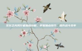 艾尔之光风行者加点攻略，掌握加点技巧，提升战斗效率