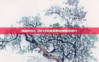 揭秘NBA 2K13中哈登的终极面补技巧