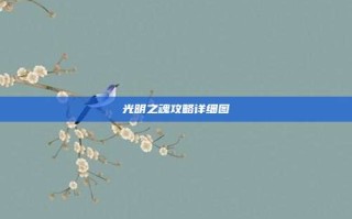 光明之魂攻略详细图