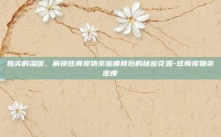 指尖的温暖，解锁炫舞宠物亲密度背后的秘密花园-炫舞宠物亲密度