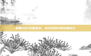 掌握DNF街霸连招，成为游戏中的终极战士