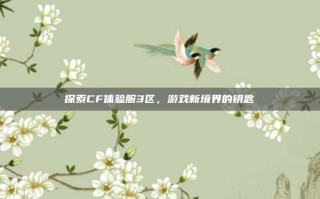 探索CF体验服3区，游戏新境界的钥匙