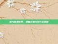 深入狂暴世界，游戏攻略与技巧全解析