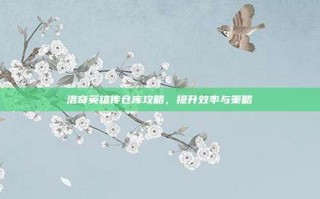 洛奇英雄传仓库攻略，提升效率与策略