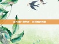 盛大推广员系统，游戏界的新星