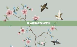 神泣爆刺客加点王道