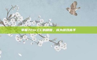 掌握72iv:CC的精髓，成为游戏高手