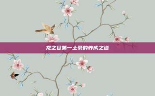 龙之谷第一土豪的养成之道