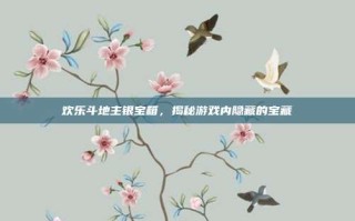 欢乐斗地主银宝箱，揭秘游戏内隐藏的宝藏