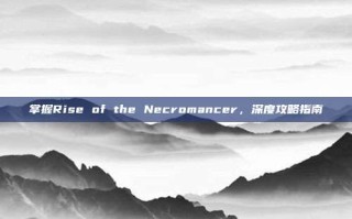 掌握Rise of the Necromancer，深度攻略指南