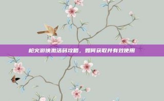 枪火游侠激活码攻略，如何获取并有效使用