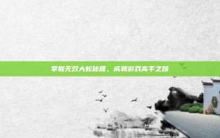 掌握无双大蛇秘籍，成就游戏高手之路