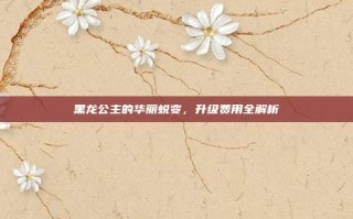 黑龙公主的华丽蜕变，升级费用全解析