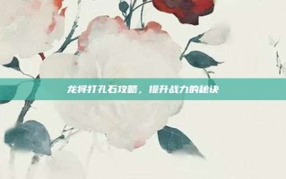 龙将打孔石攻略，提升战力的秘诀