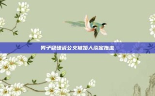 男子疑碰瓷公交被路人淡定拖走