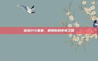 征途215星套，解锁你的传奇之路