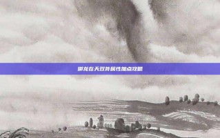 御龙在天双斧属性加点攻略