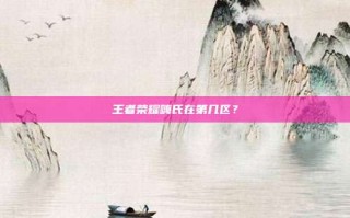 王者荣耀嗨氏在第几区？