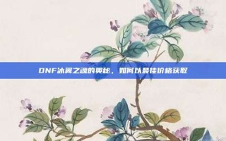 DNF冰翼之魂的奥秘，如何以最佳价格获取