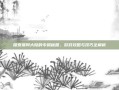 探索搜同大陆的专属秘籍，游戏攻略与技巧全解析