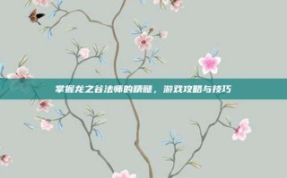 掌握龙之谷法师的精髓，游戏攻略与技巧