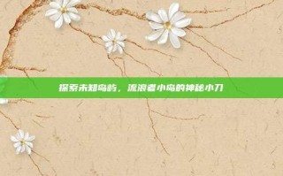探索未知岛屿，流浪者小岛的神秘小刀