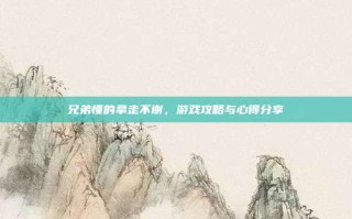 兄弟懂的拿走不谢，游戏攻略与心得分享