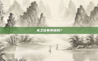 龙之谷有外挂吗？