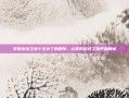 掌握永恒之塔十全补丁的精髓，让你的游戏之路更加顺畅