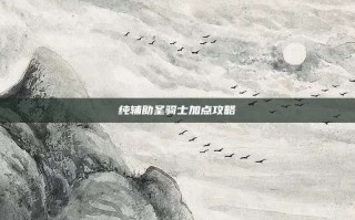 纯辅助圣骑士加点攻略