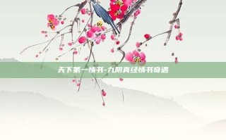 天下第一情书-九阴真经情书奇遇