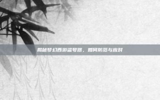 揭秘梦幻西游盗号器，如何防范与应对