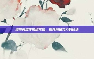 洛奇英雄传加点攻略，提升角色实力的秘诀