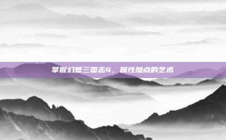 掌握幻想三国志4，属性加点的艺术