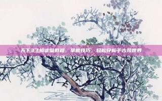 天下3飞檐走壁教程，掌握技巧，轻松穿梭于古风世界